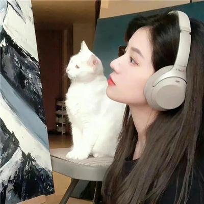 向上猴子